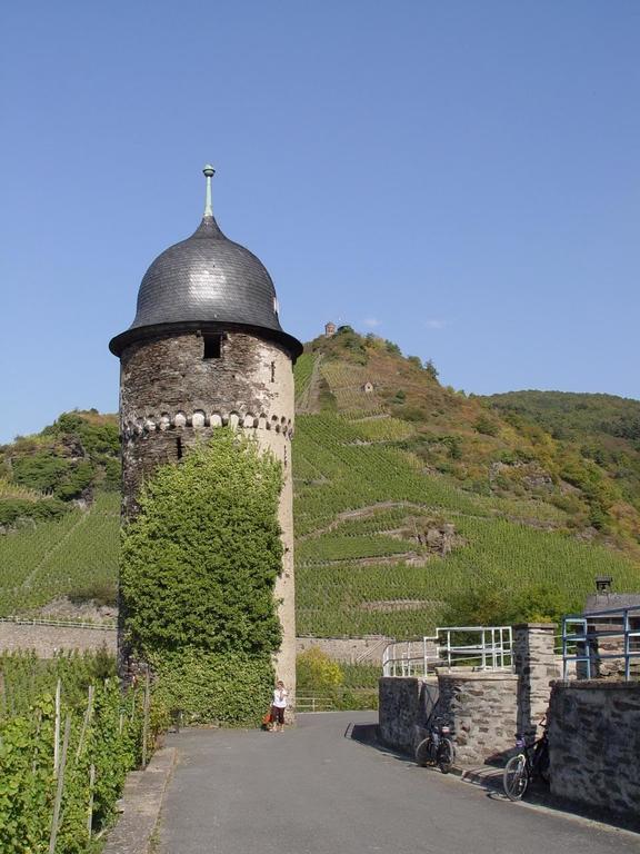 Pension Adelheid Moselhype&Wine Zell Eksteriør billede